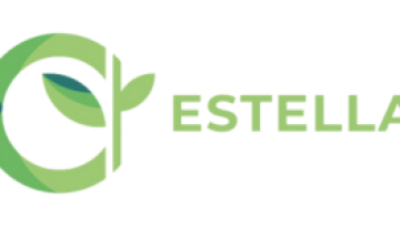 Stella logo