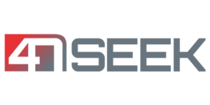 4nseek logo