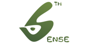 sixthense logo