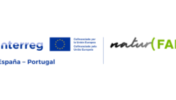 natur-fab logo