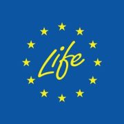 life logo